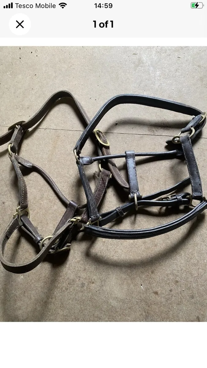 Job lot bridles - Image 2