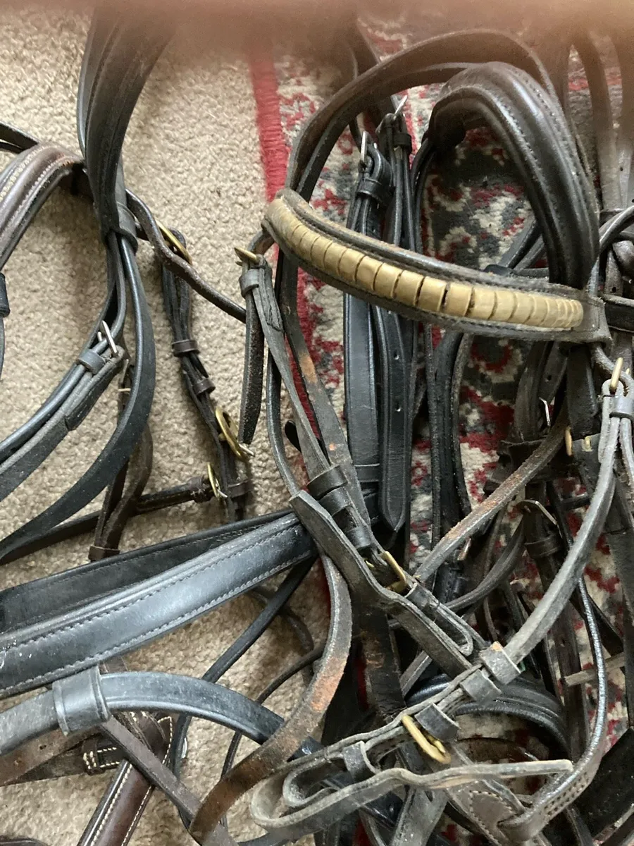 Job lot bridles - Image 3