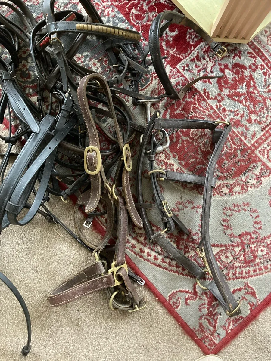 Job lot bridles - Image 4