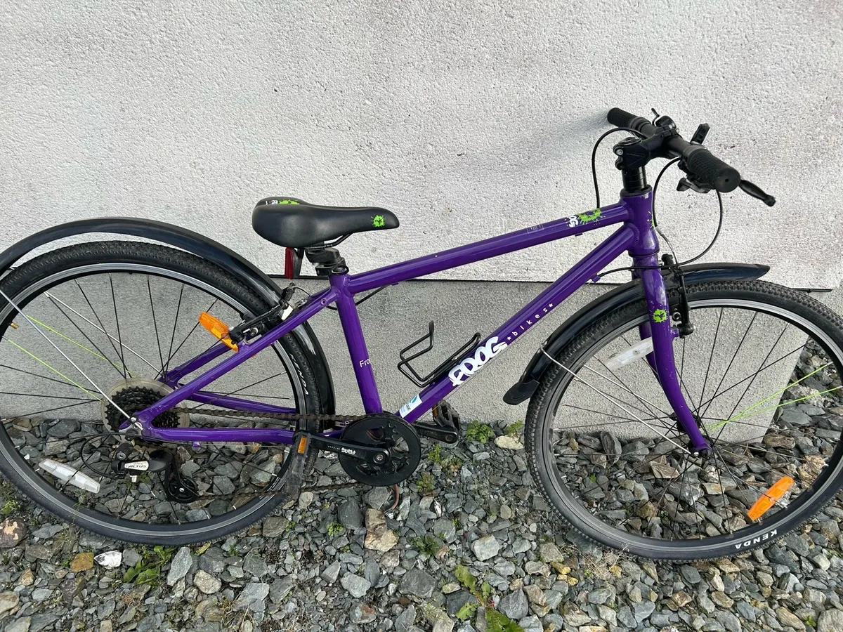 Girls Frog bicycle - Image 1