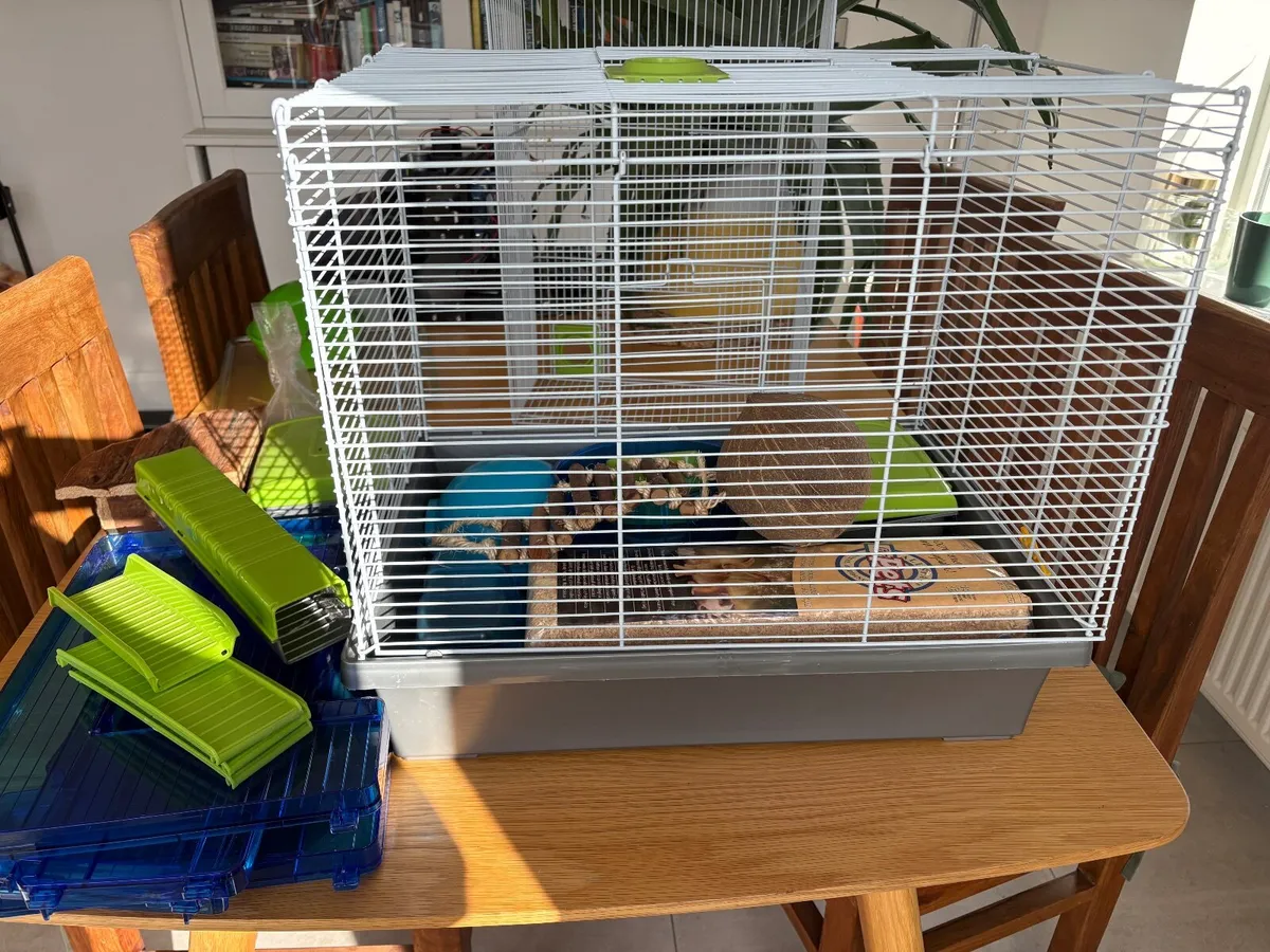 Hamster cage with many accessories - Image 1