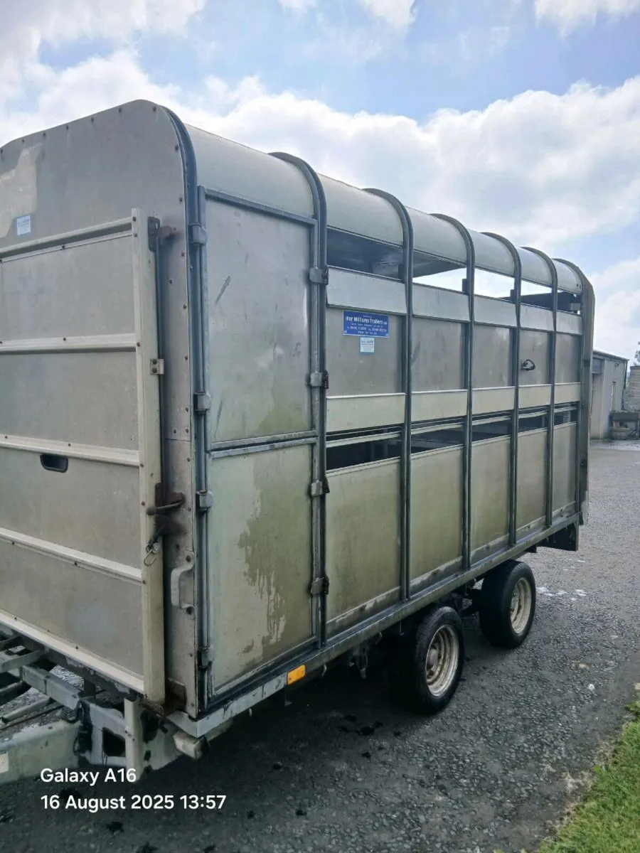 12ft Ifor williams cattle trailer - Image 3