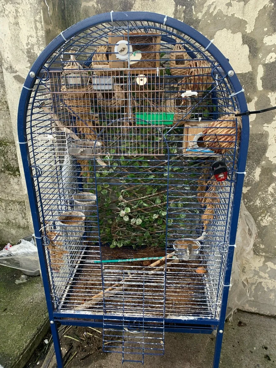 Parrot cage - Image 1