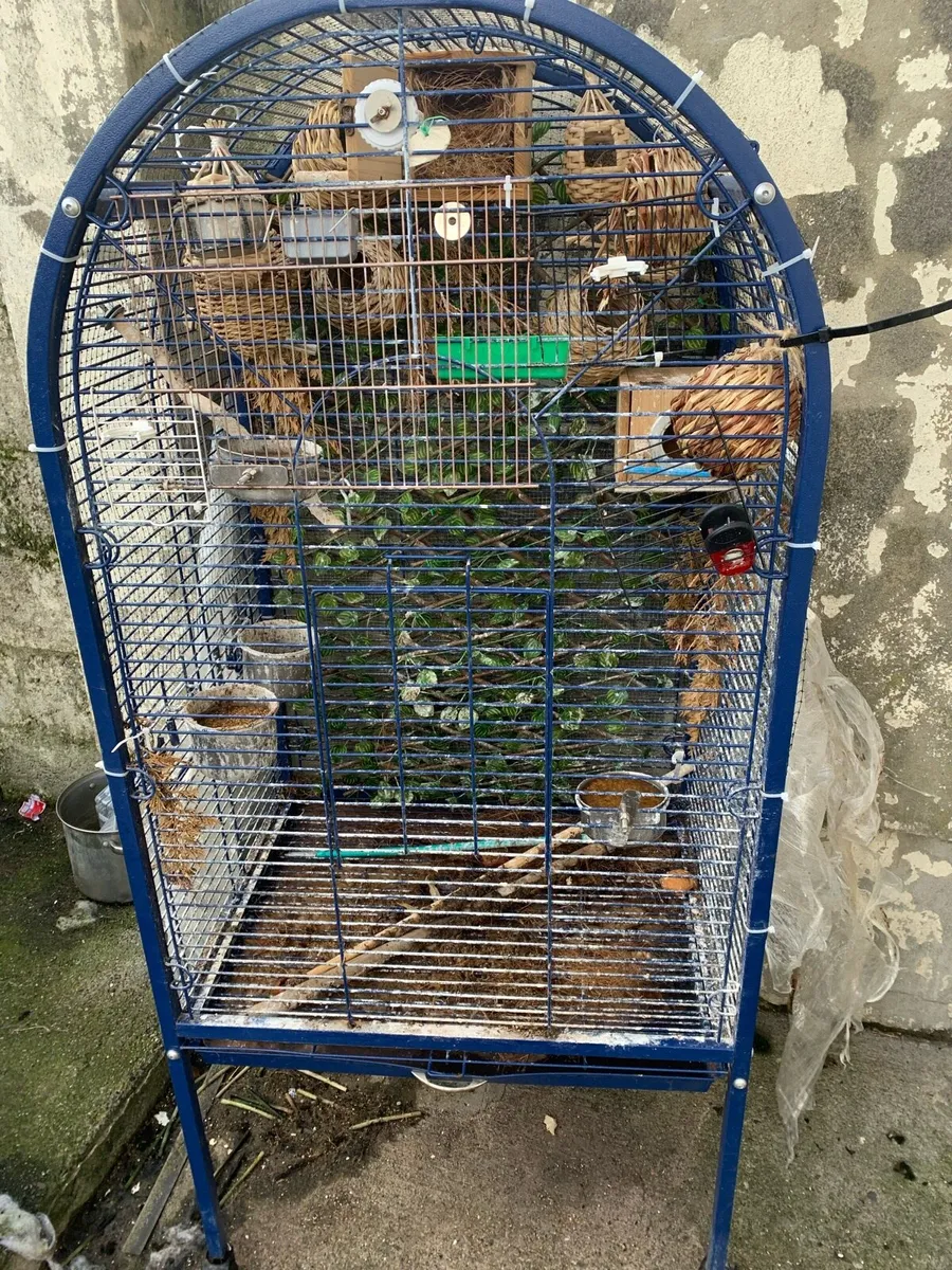 Parrot cage - Image 2