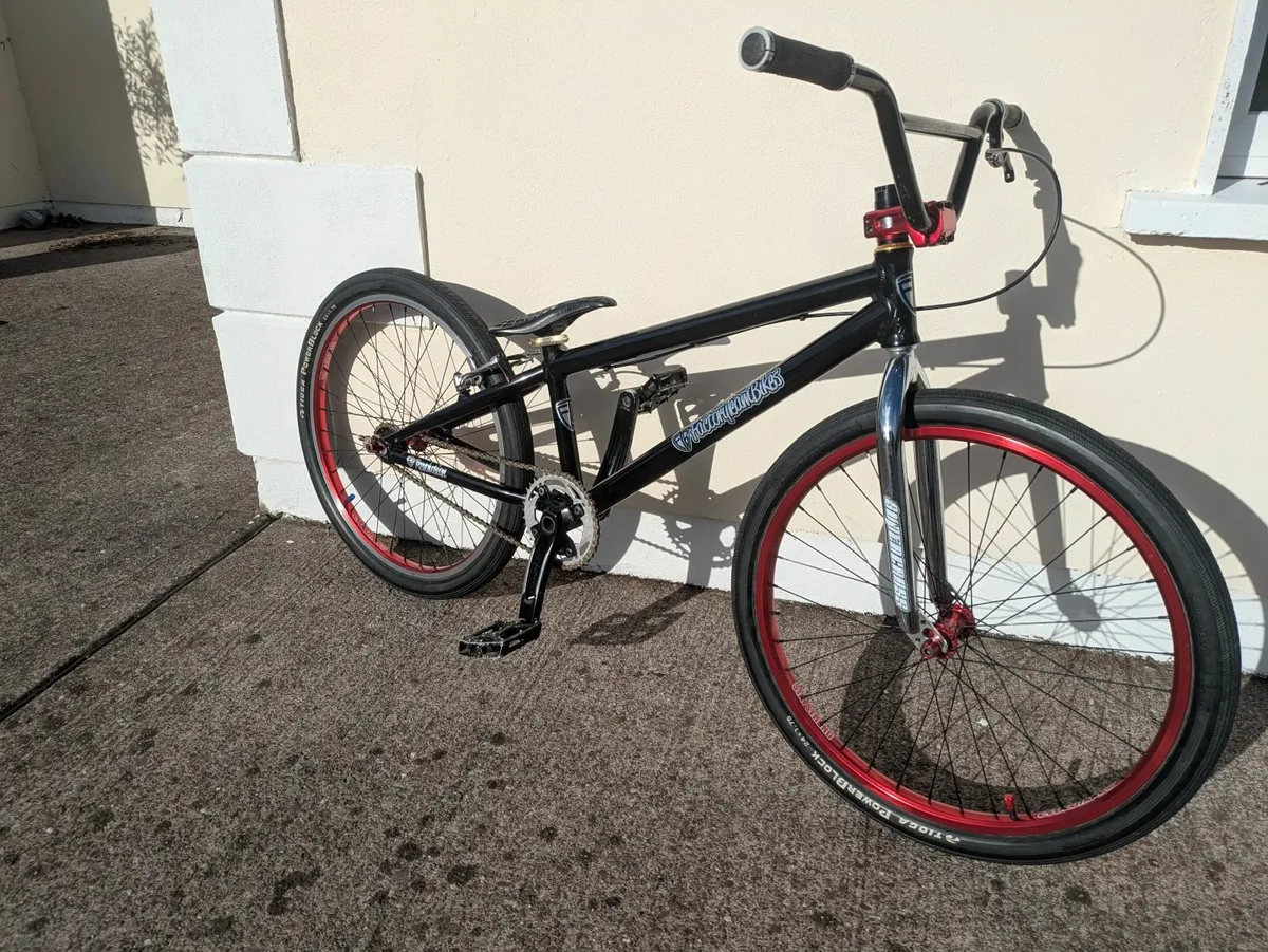 Factory Team Pro XL Cruiser BMX - Image 1