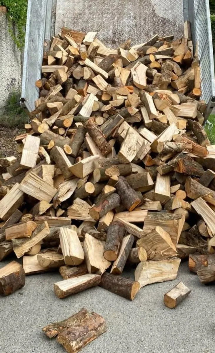 Timber Firewood Sligo 🪵 - Image 2