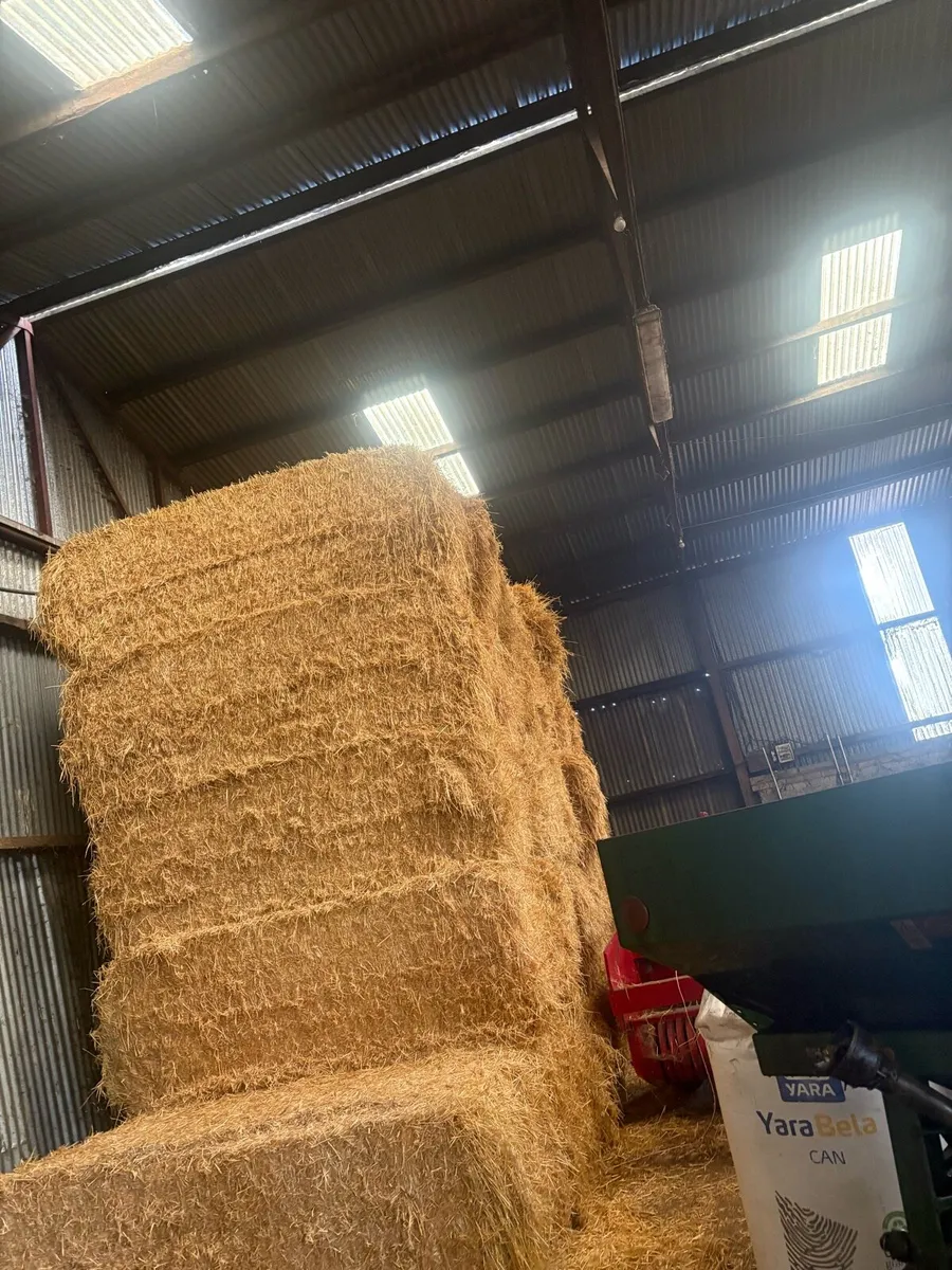 🌾Top Quality English straw🌾 - Image 1