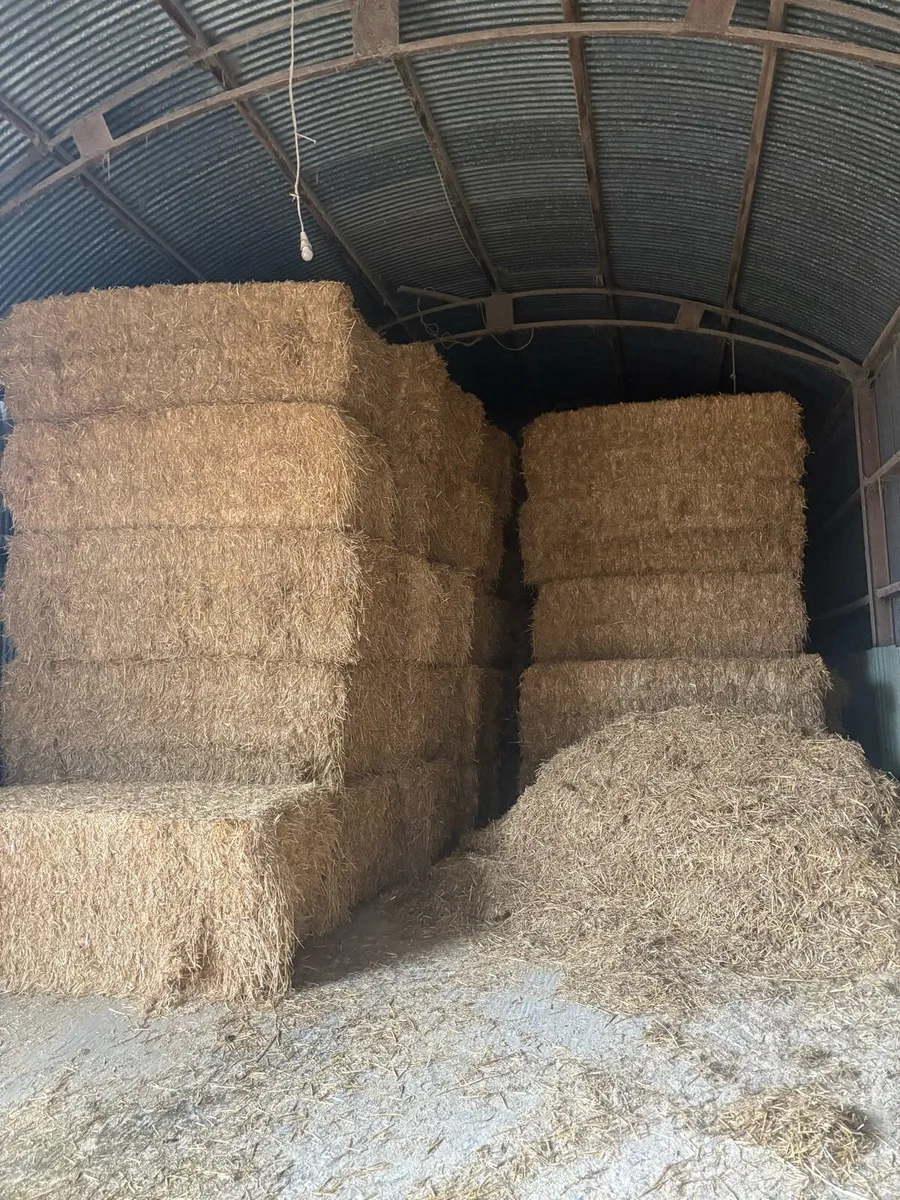 🌾Top Quality English straw🌾 - Image 2