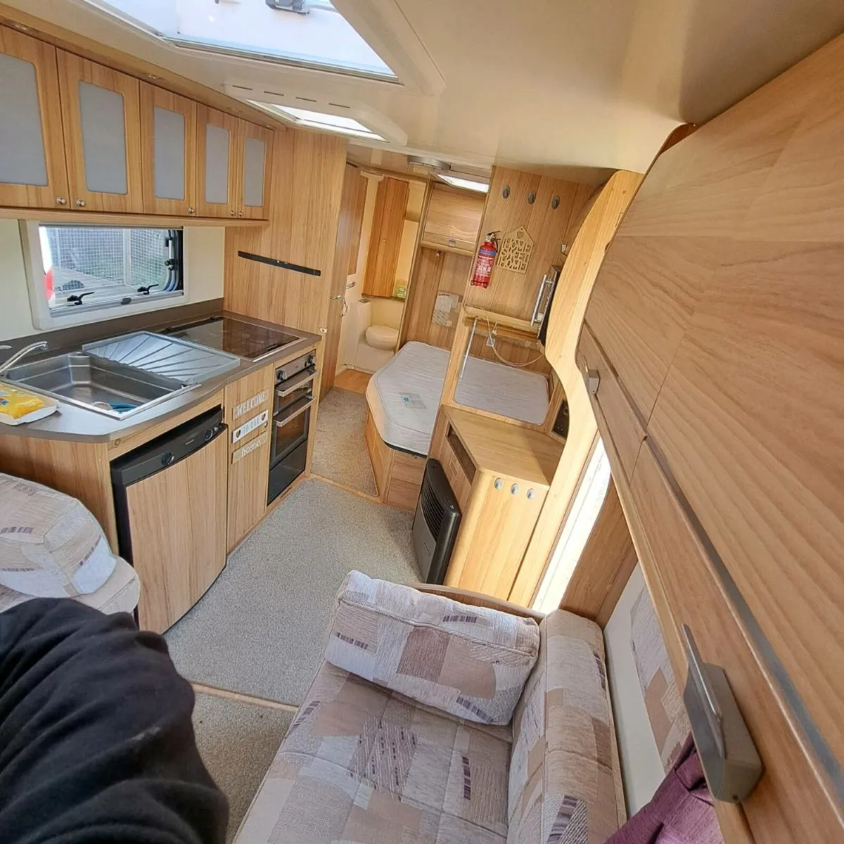 Bailey pegasus - Image 4