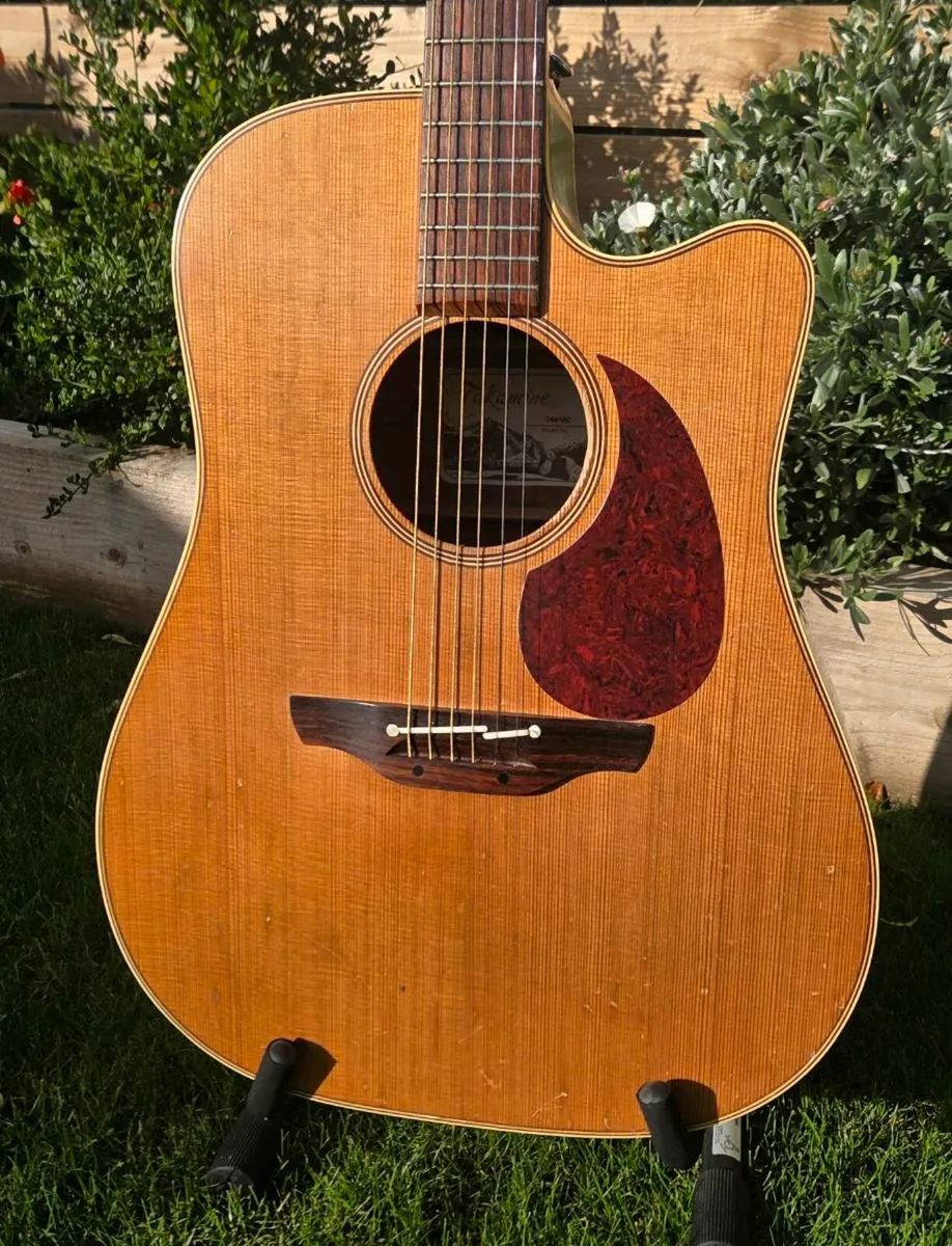 Takamine TAN10C - Image 3