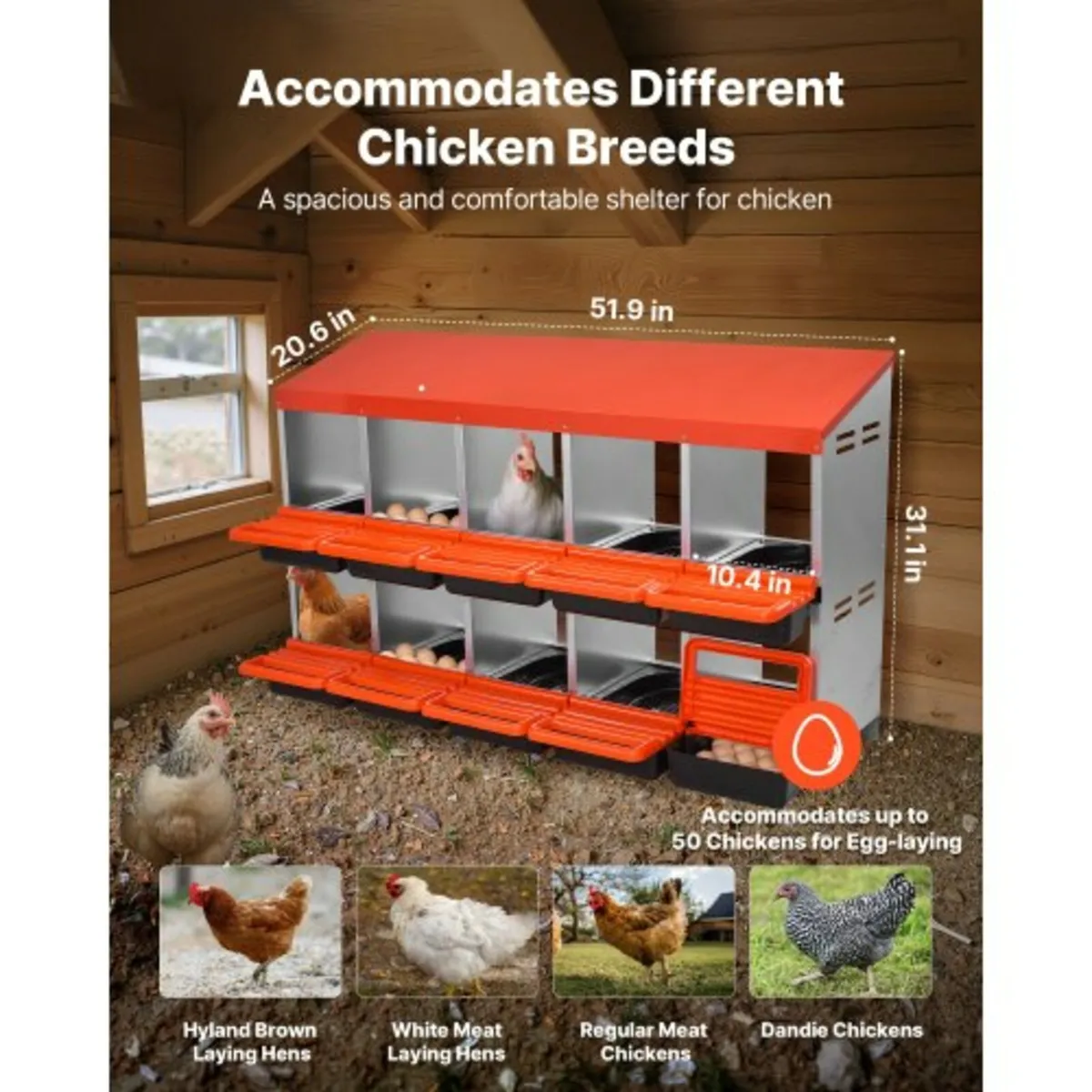 Chicken Nest Box, 10-Compartment, 30 to 45 in Stab - Image 4