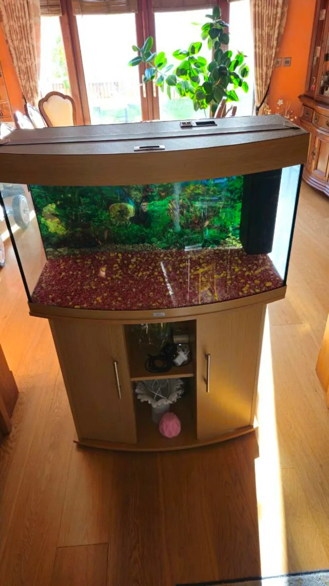 Juwel Vision 180 Fish Tank & Cabinet - Image 1