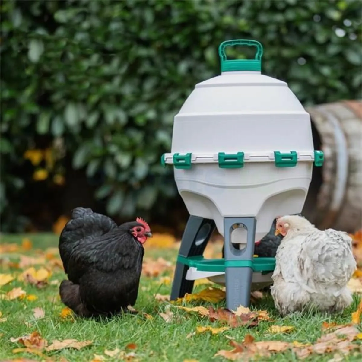 Optimus 25 litre Poultry Drinker on legs - Image 1