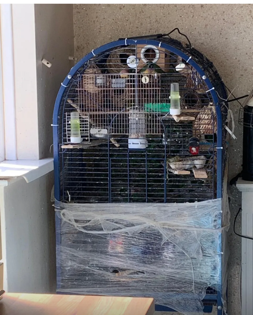 Parrot cage - Image 3