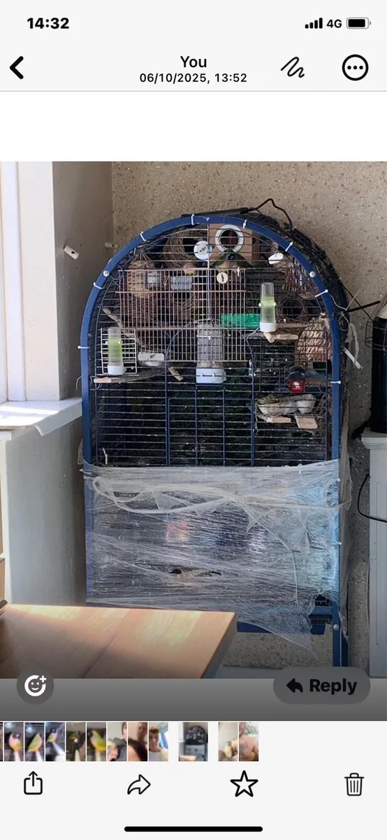Parrot cage - Image 4