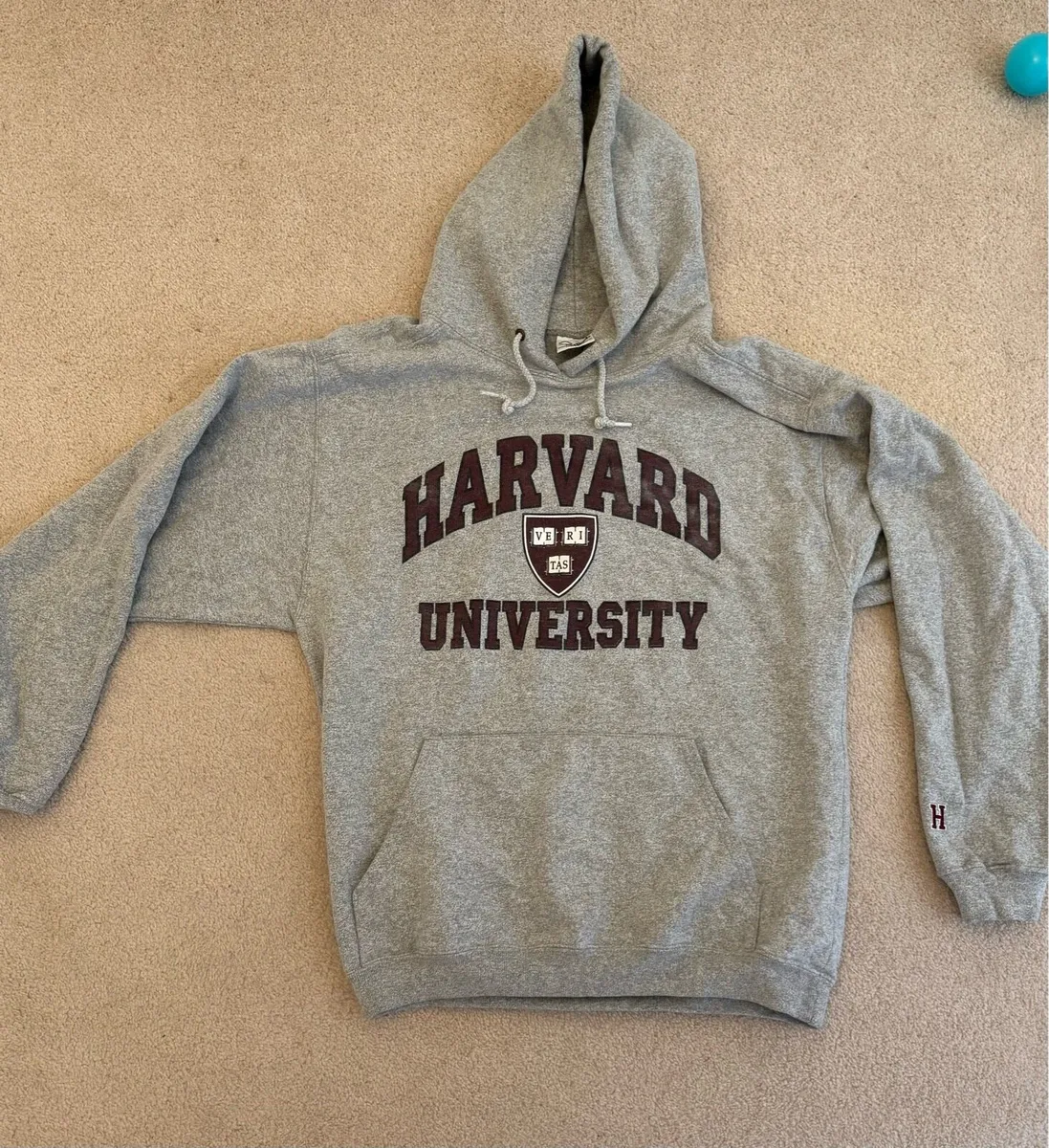 Official Harvard Men’s Hoody - medium - Image 1