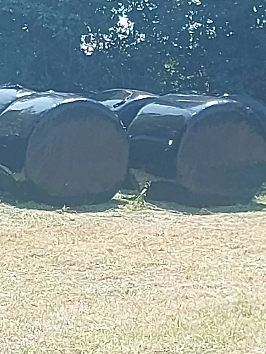 Silage for sale - Image 4