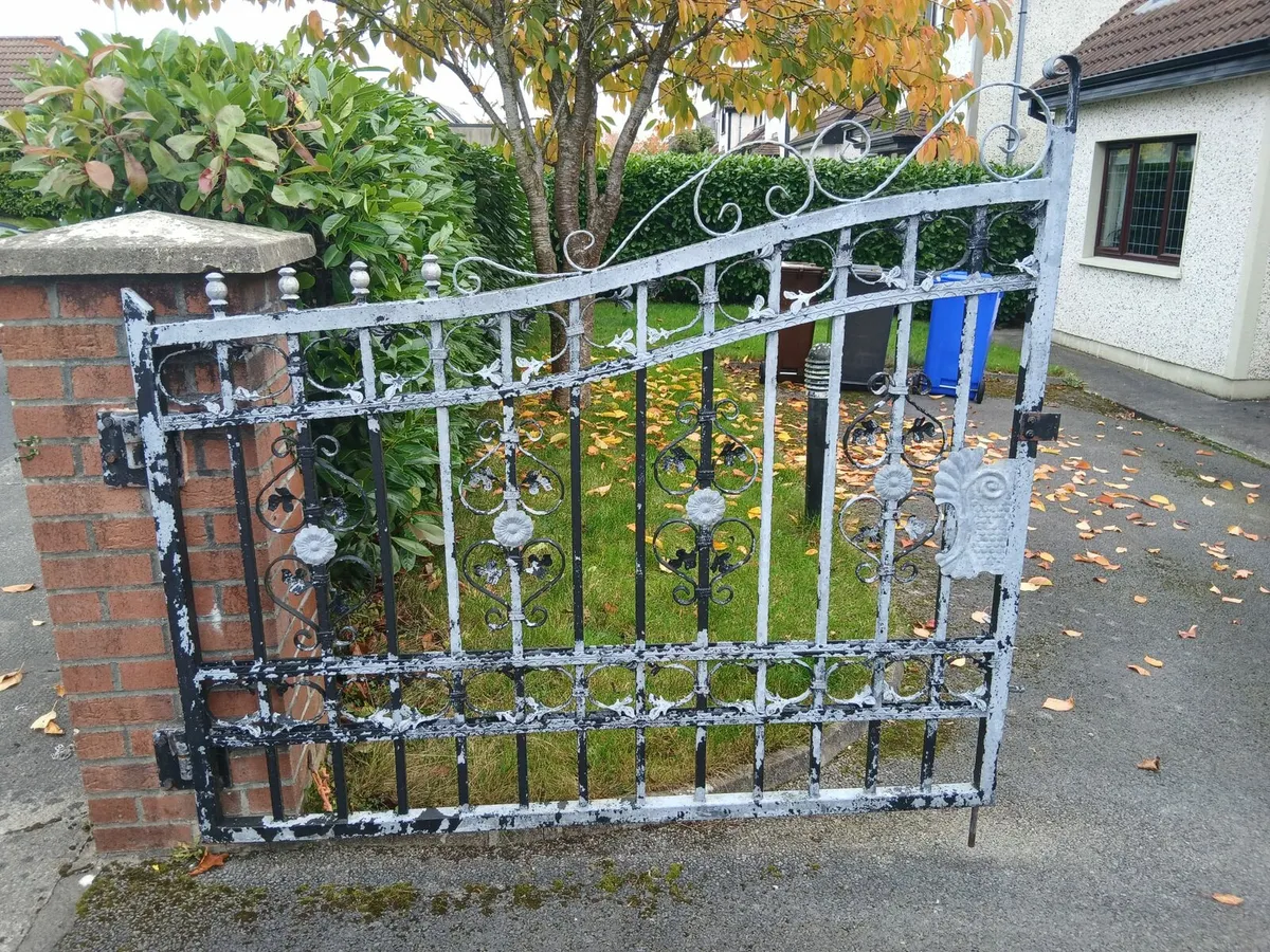 Galvanised front gates - Image 2