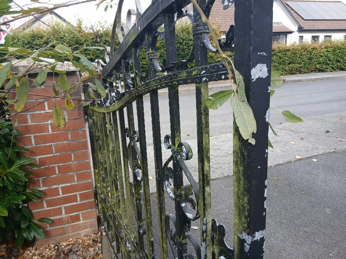 Galvanised front gates - Image 3