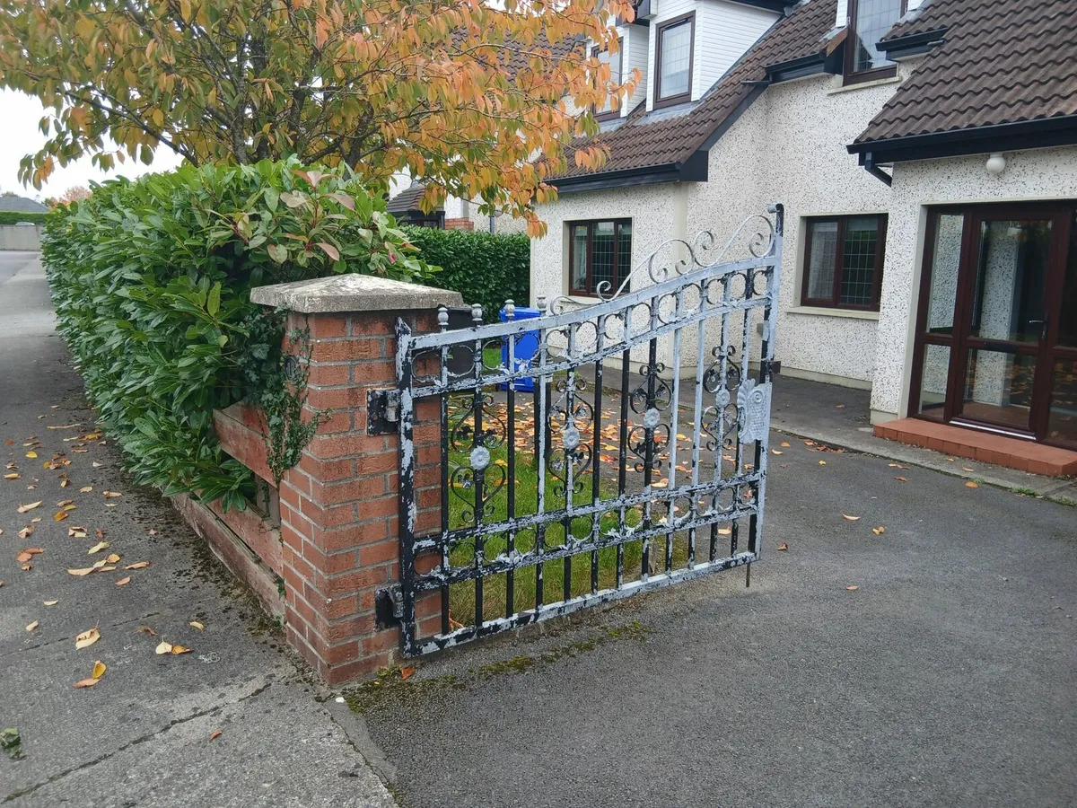 Galvanised front gates - Image 4