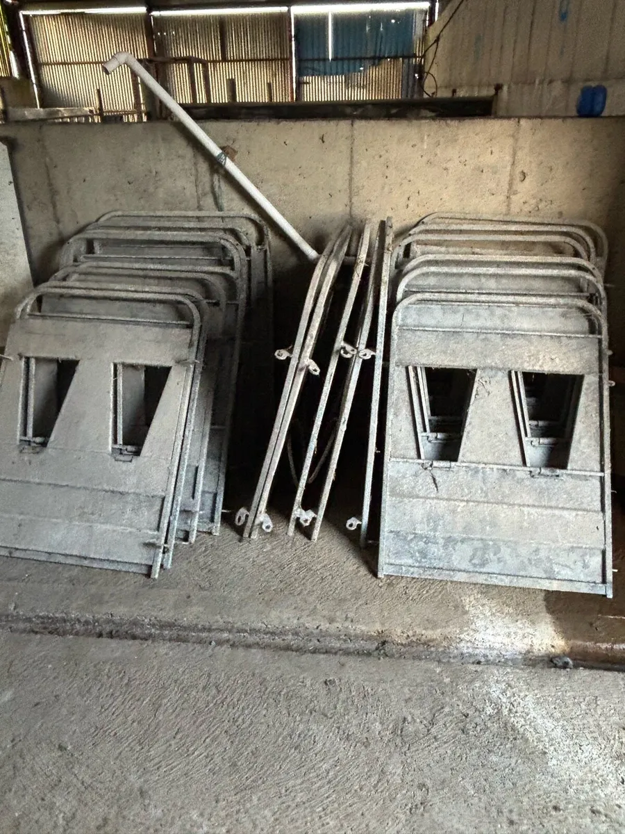 Calf pens - Image 1