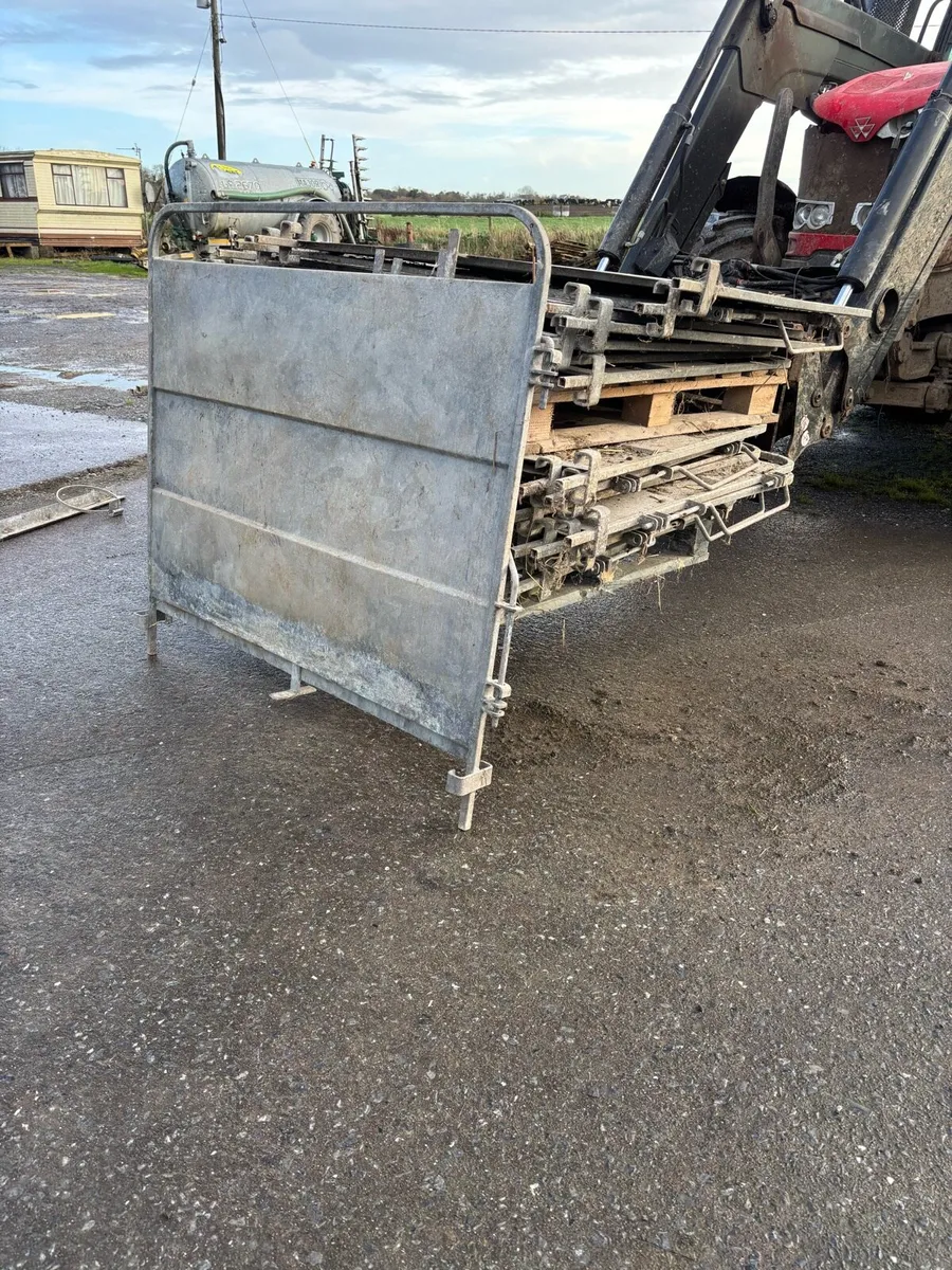 Calf pens - Image 2