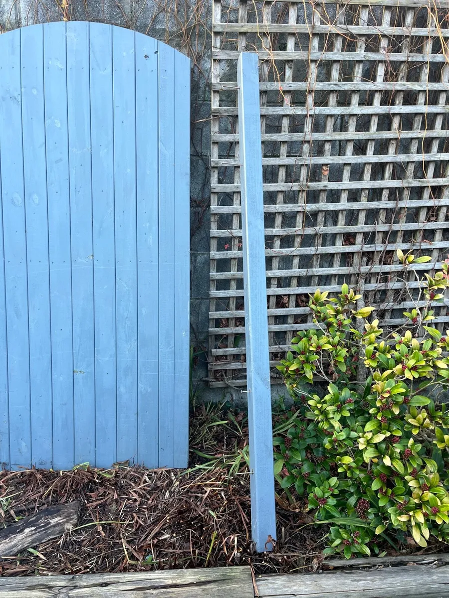 Side entrance gates (2)inc posts - Image 2