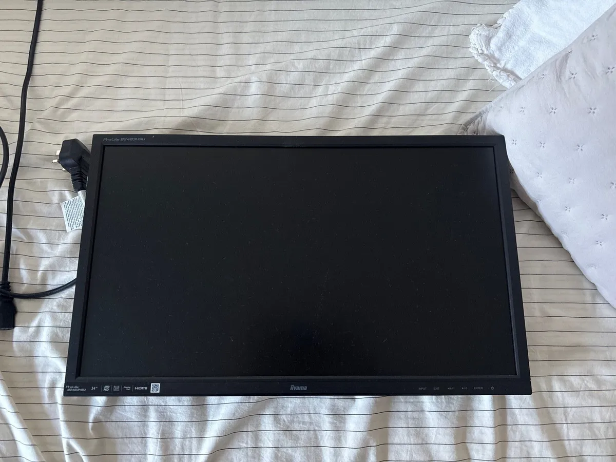 24” display IIYAMA Prolite B2483HSU