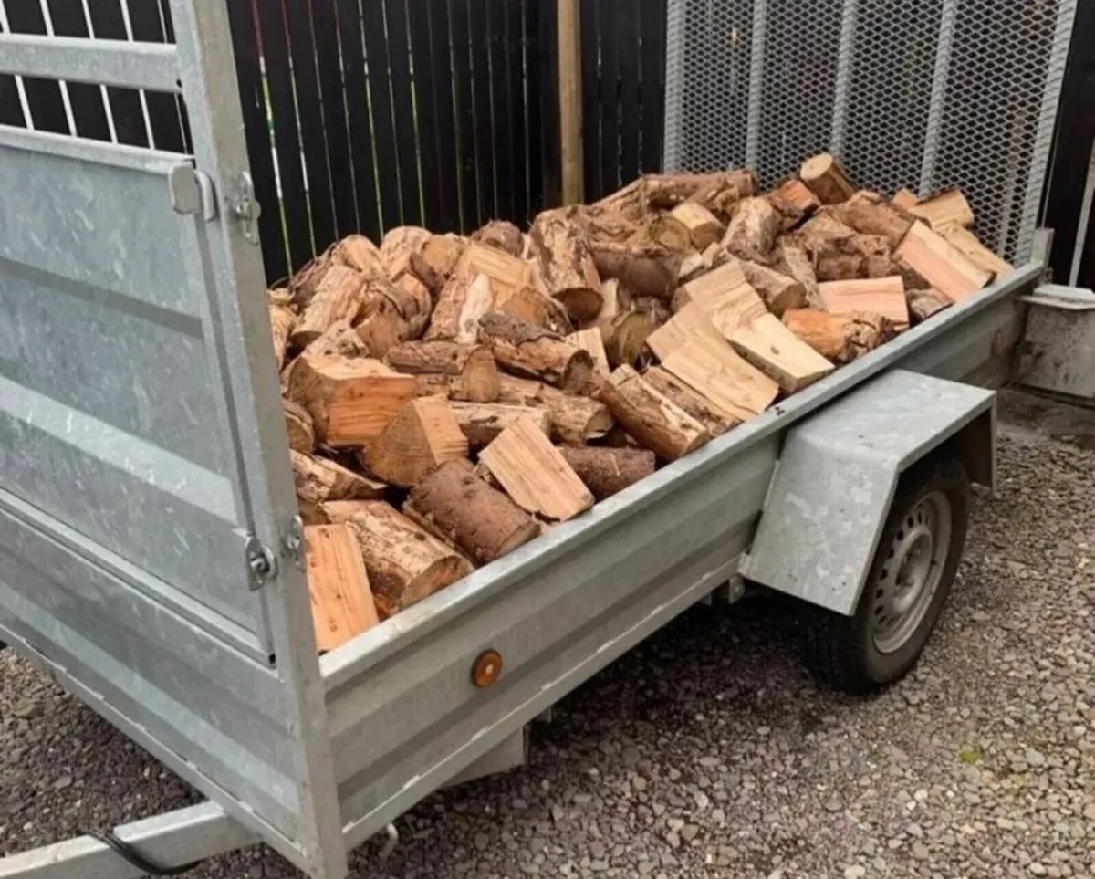 Timber Firewood - Image 1