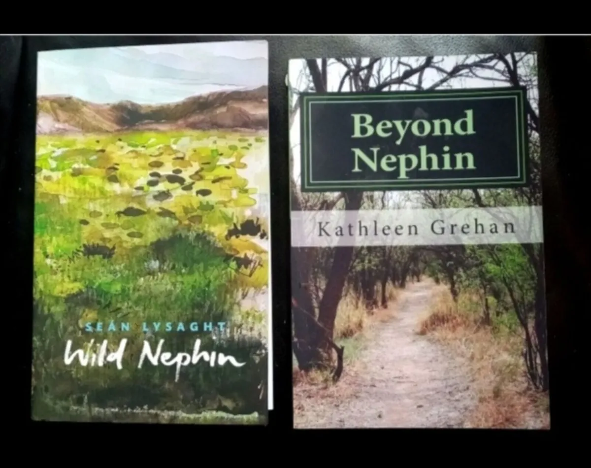 Two Nephin Books