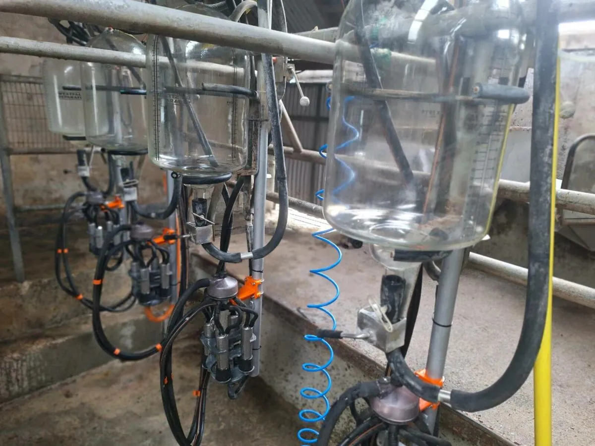 Gascoigne milking machine - Image 2