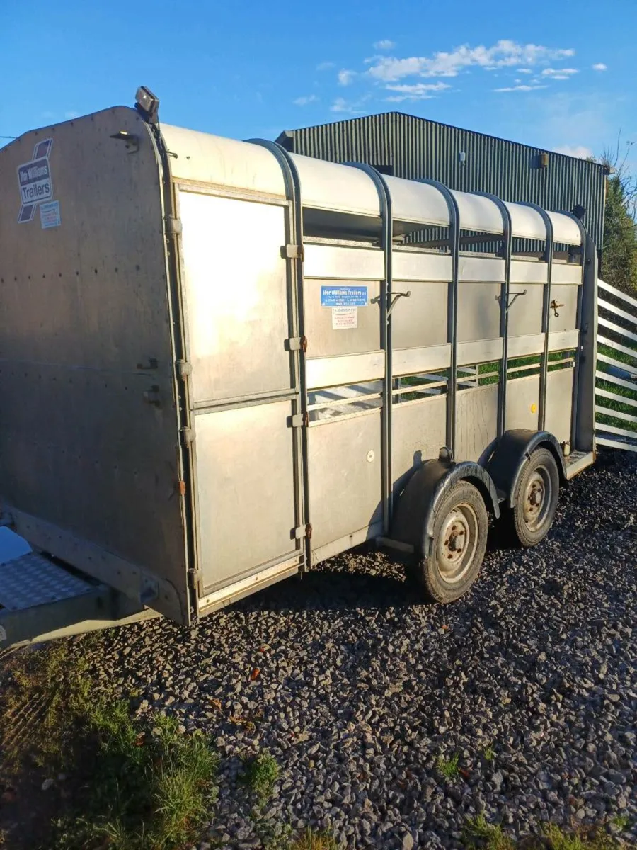 Ifor williams 12ft  c/w sheep decks €3600 - Image 1