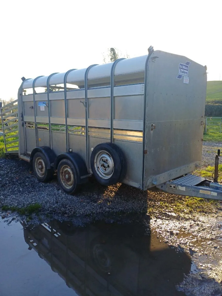Ifor williams 12ft  c/w sheep decks €3600 - Image 3
