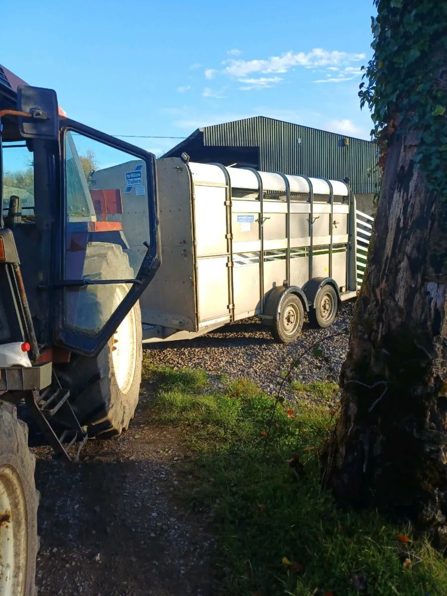 Ifor williams 12ft  c/w sheep decks €3600 - Image 4