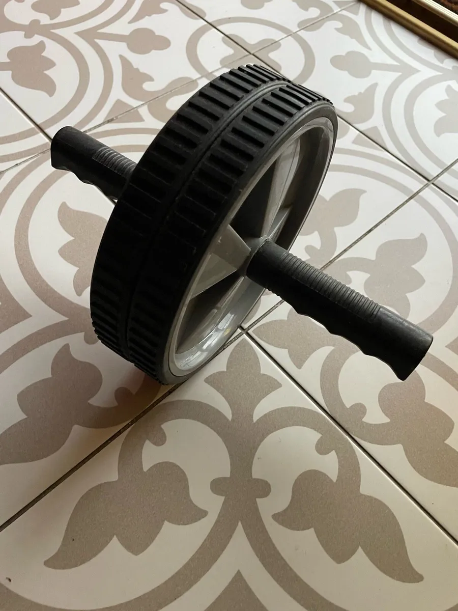 Weights & Wheel - Image 2