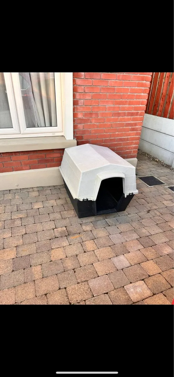 Dog box