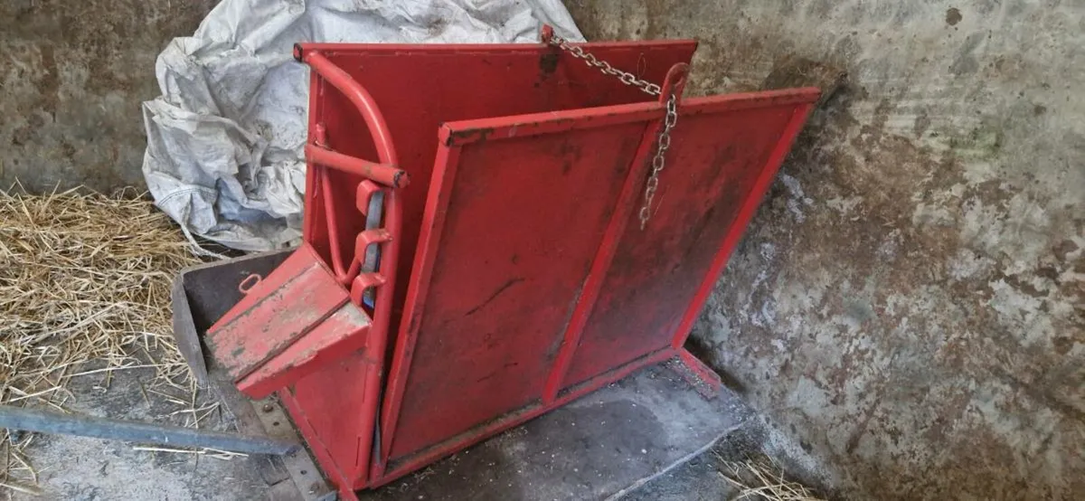 Calf barrow and calf de-horning crate - Image 4