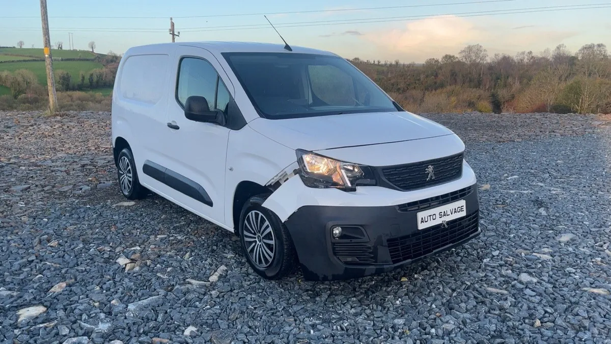 2019 Peugeot Partner - Image 1