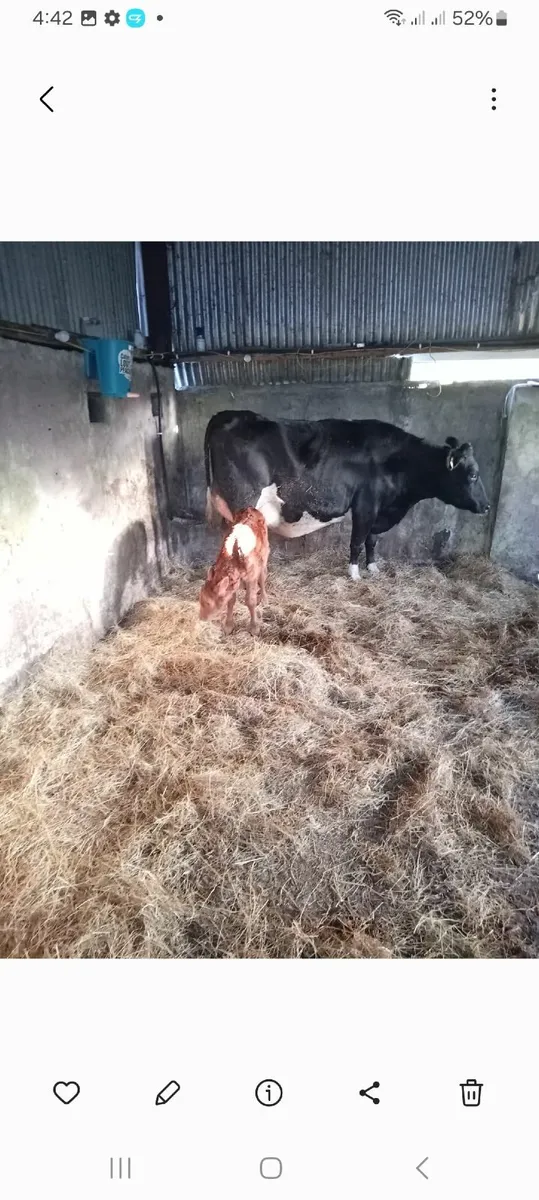 Massey ferguson 575 Ursus 3512 - Image 3