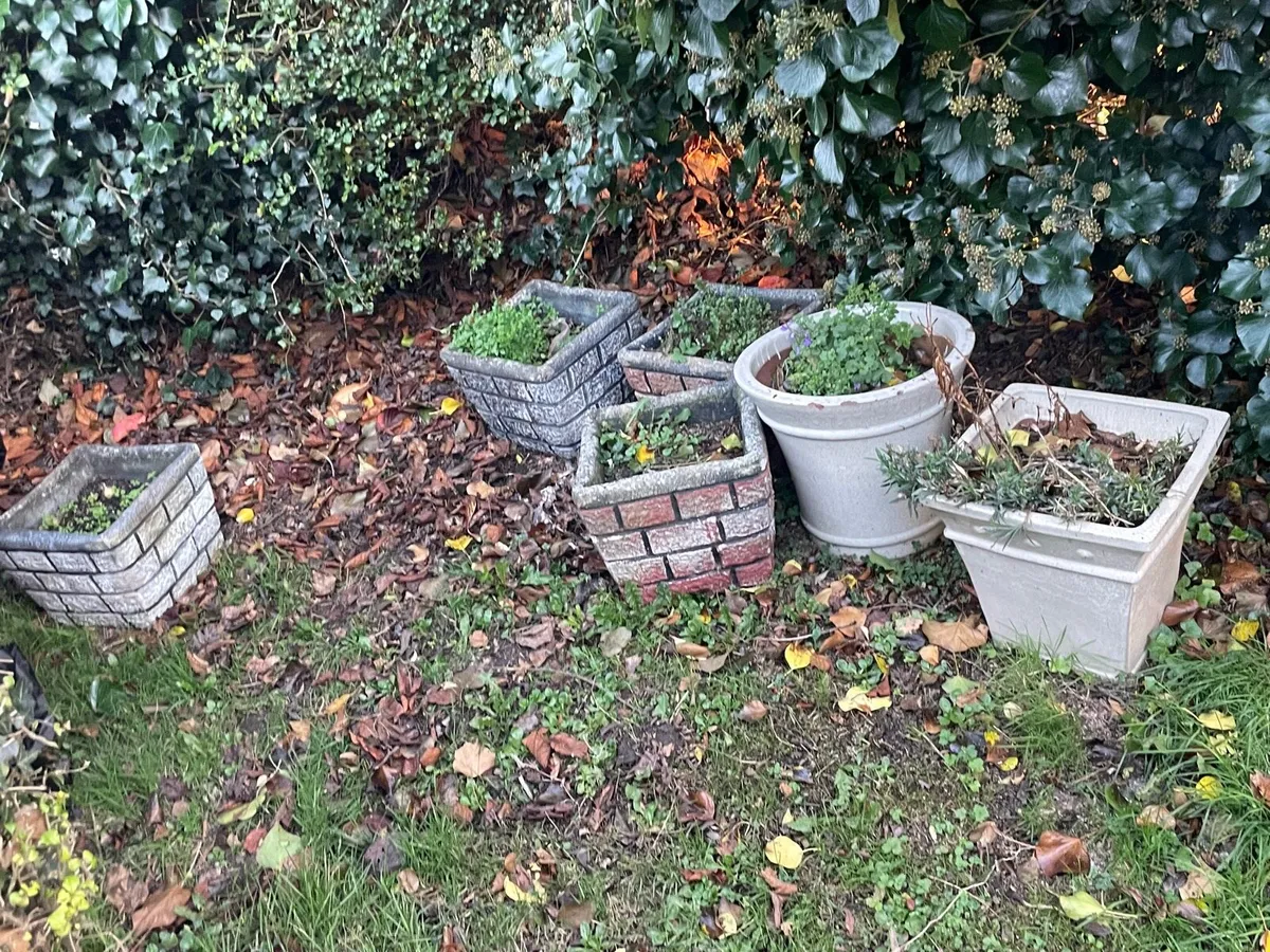 Stone / concrete / ceramic pots for sale - Image 1