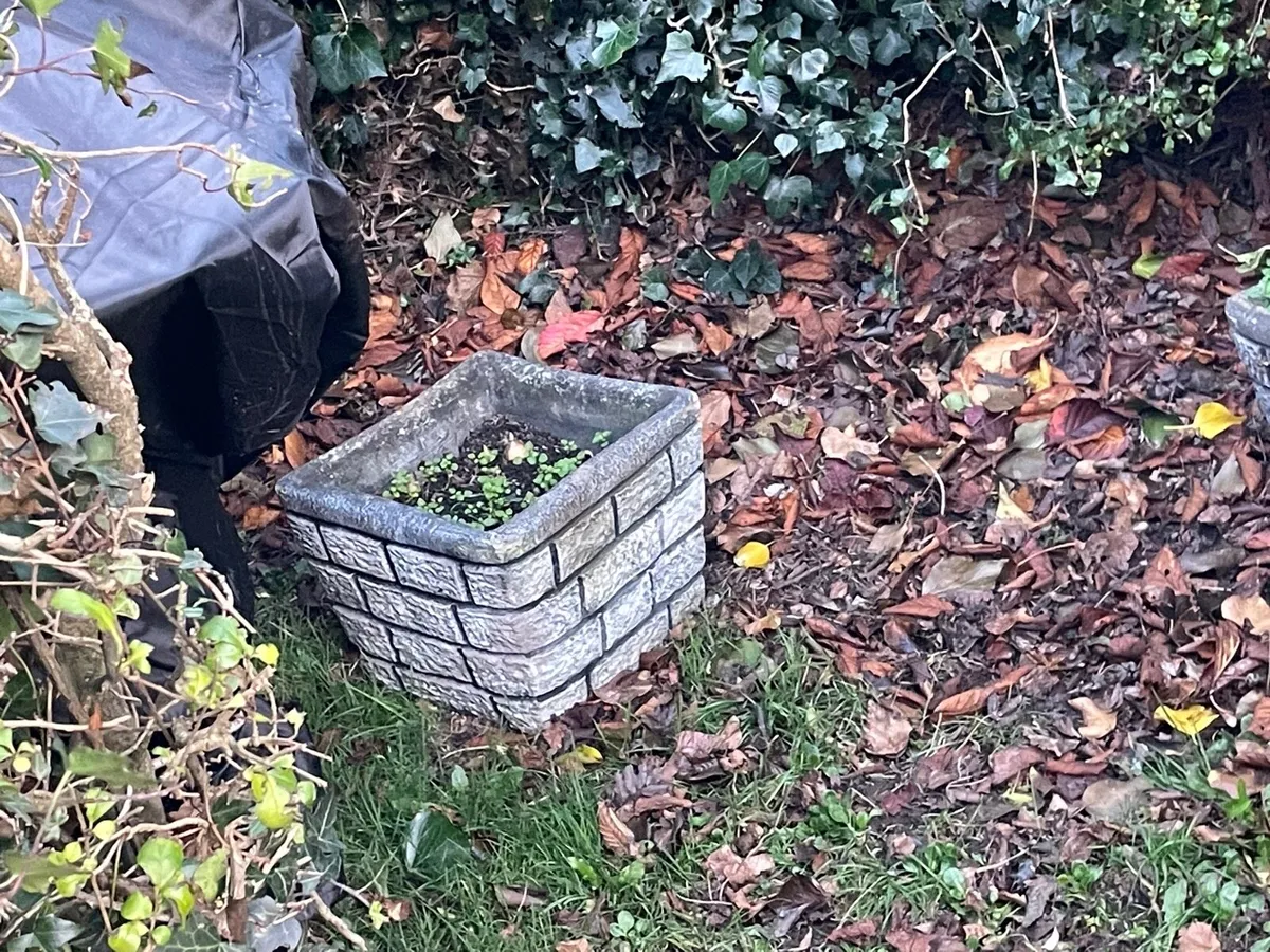 Stone / concrete / ceramic pots for sale - Image 2