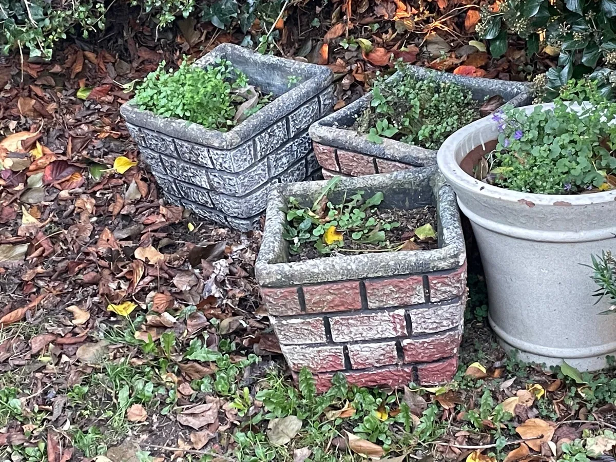 Stone / concrete / ceramic pots for sale - Image 3