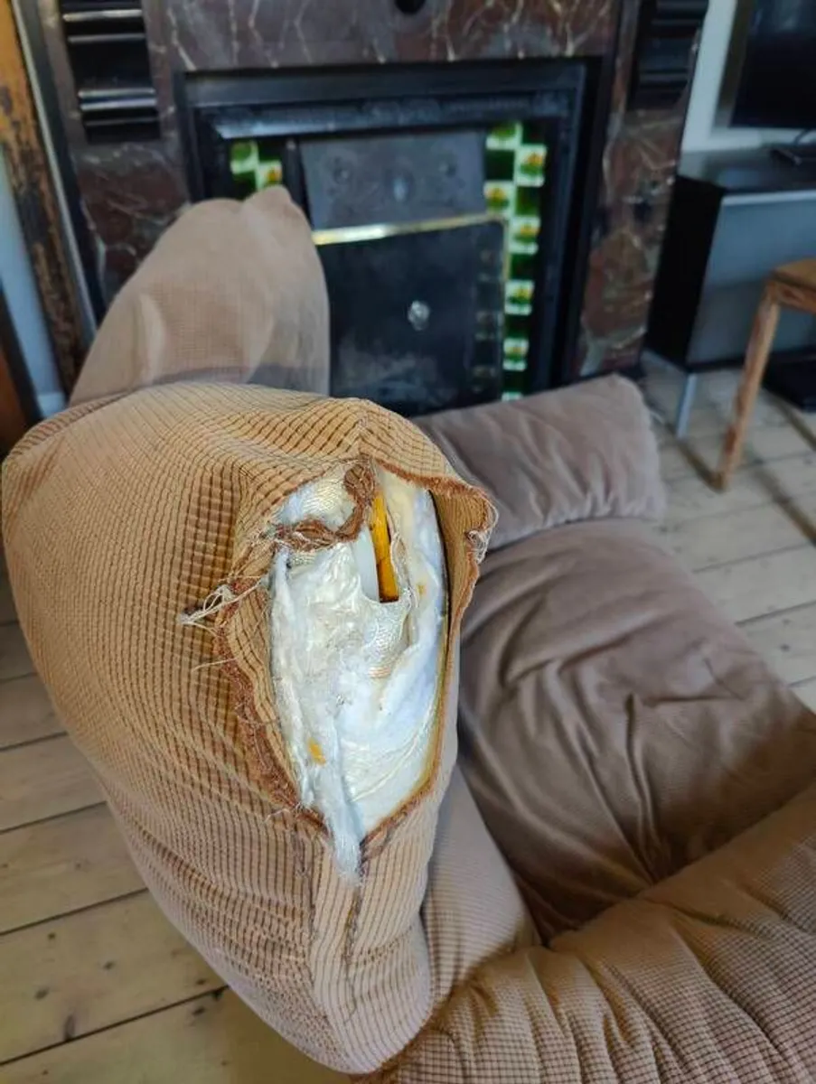 Sofa and Armchair - Image 4