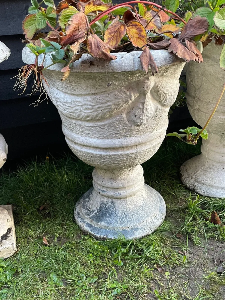 3 concrete pots for sale - Image 4