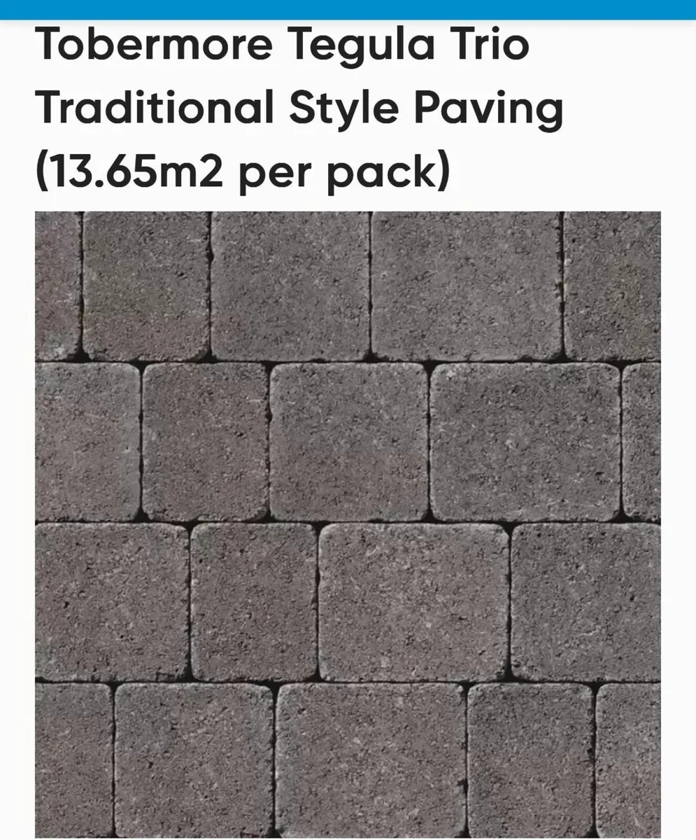 Paver bricks - Image 1