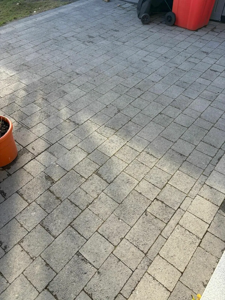 Paver bricks - Image 2