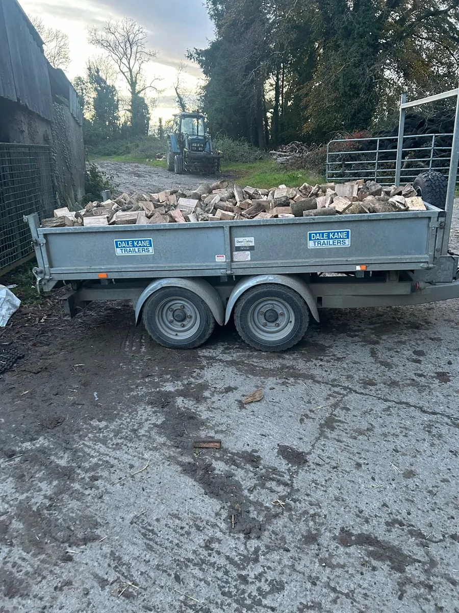 Firewood - Image 3