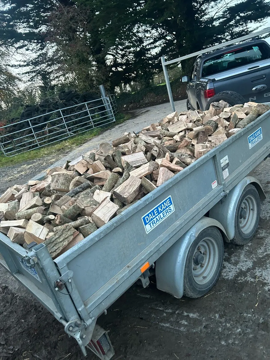Firewood - Image 4