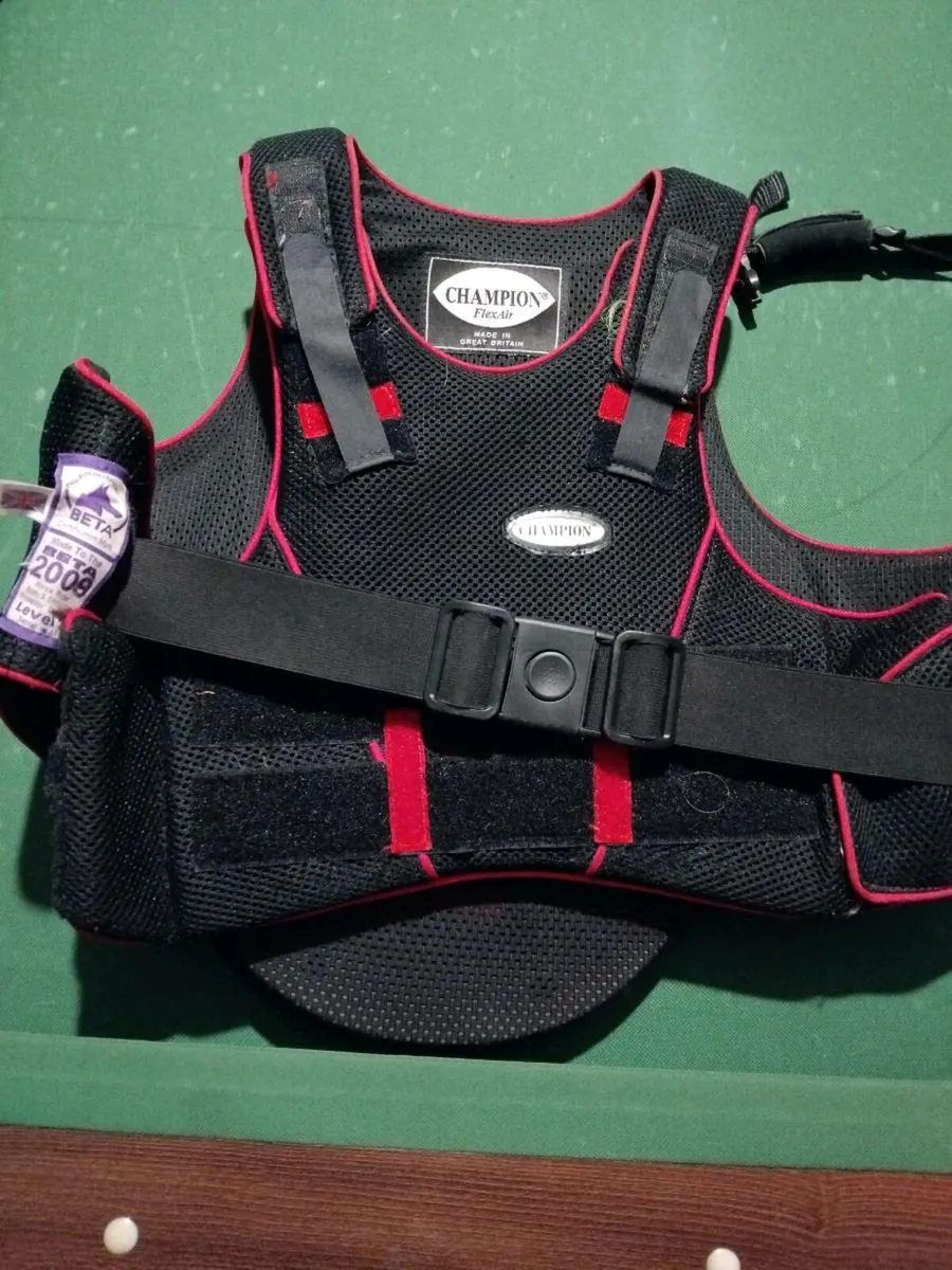 Child's body protector - Image 1