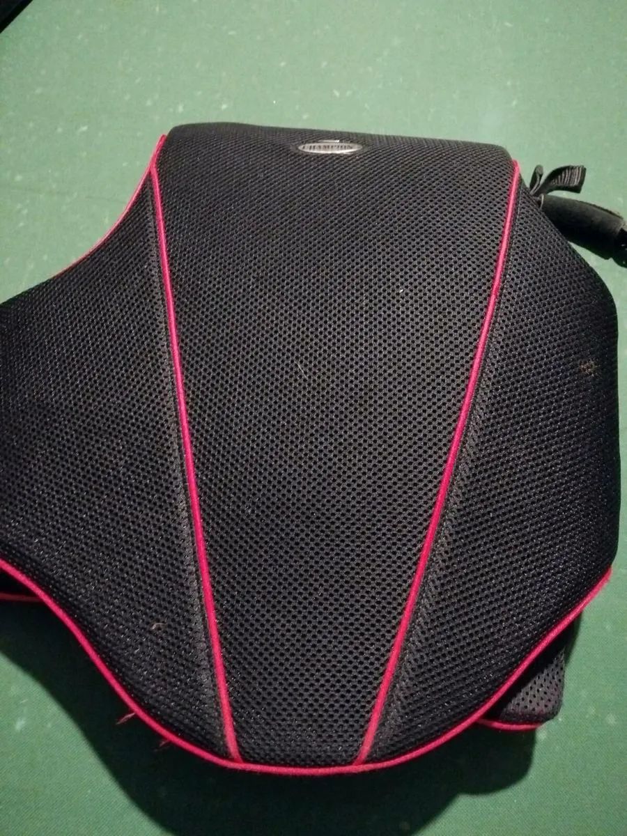 Child's body protector - Image 3